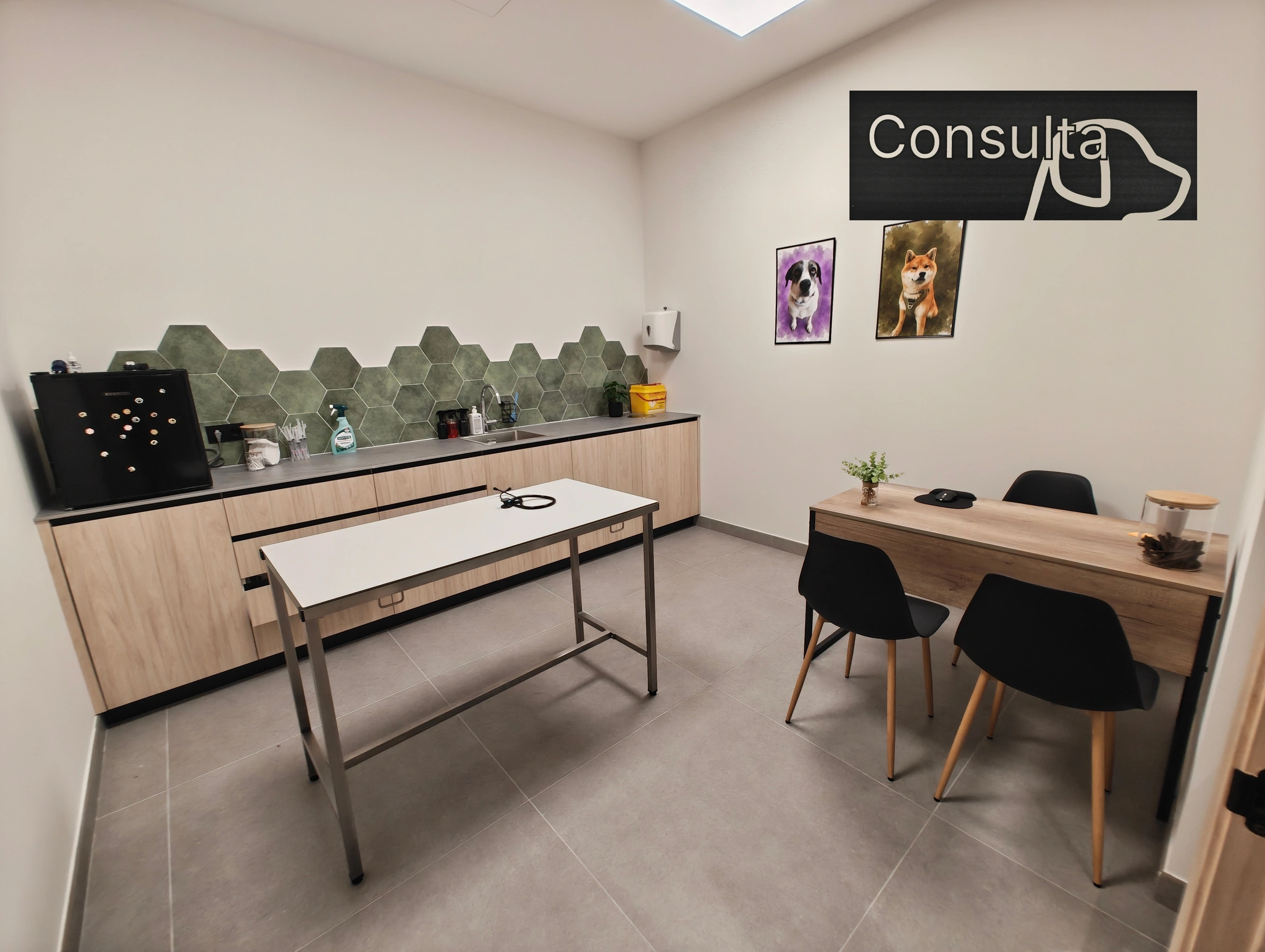 Consulta para perros