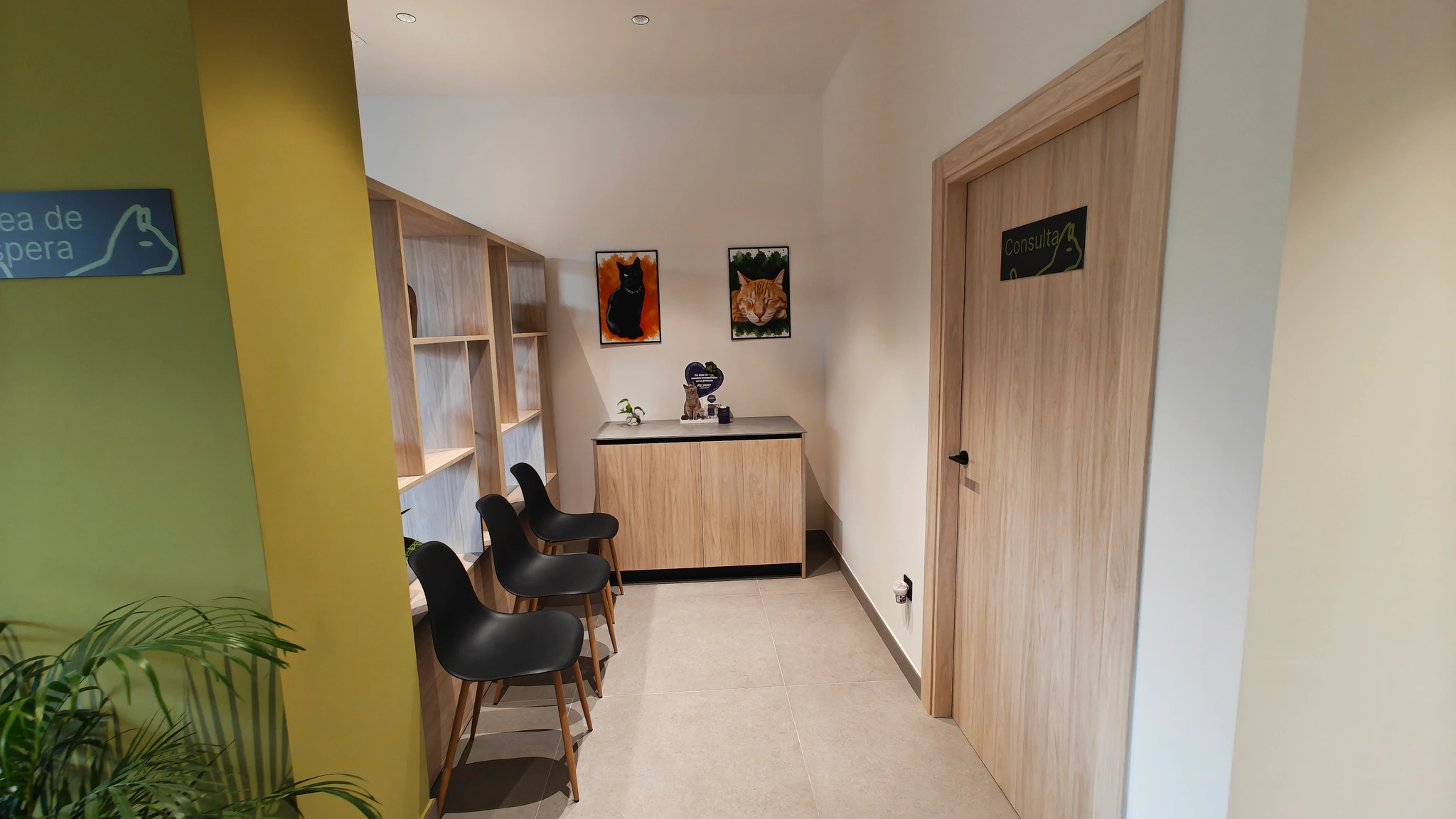Sala de espera para gatos