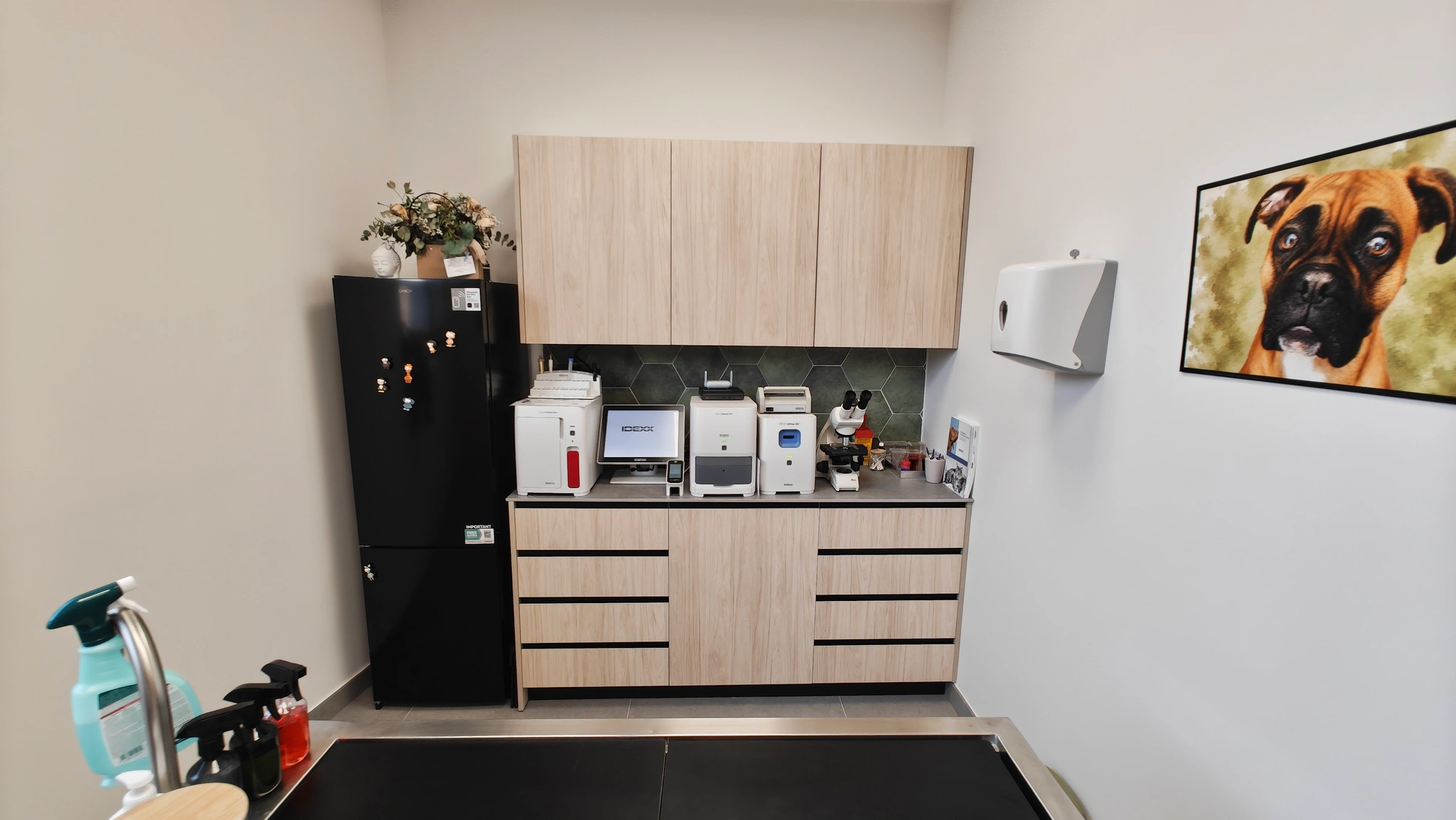 Equipos del laboratorio interno: analizadores y microscopio